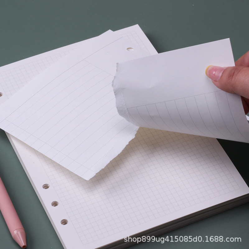 A5 Loose Leaf Notebook Refill  - A5 Spiral Dotted Grid Notebook recension och pris