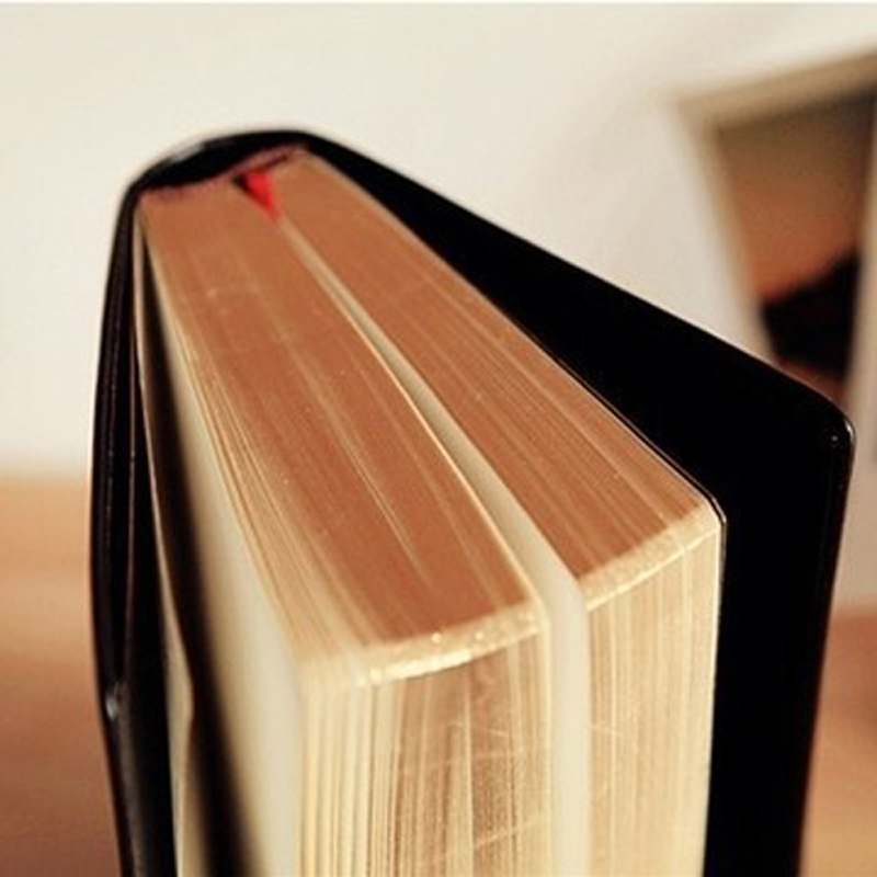Vintage Thick Leather Bible No - Vintage Leather Journal Notebook recension och pris